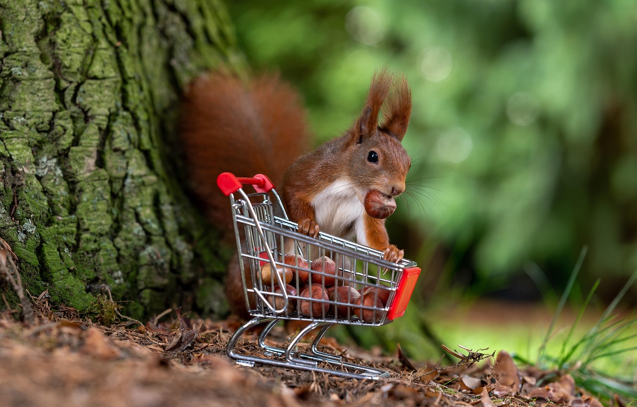 Red squirrel sitting in a miniature shopping cart filled with hazelnuts, symbolizing online shopping behavior and agentic commerce trends in a playful, nature-inspired setting.